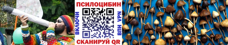 мега как зайти  Коломна  Псилоцибиновые грибы прущие грибы 